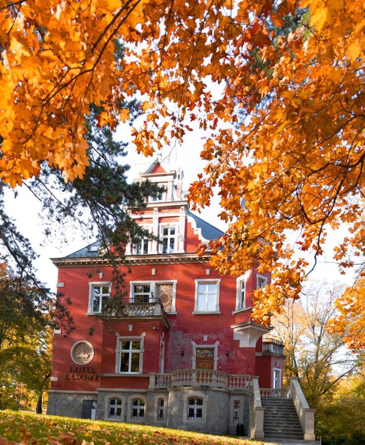 Hotel Debowy Biowellness & Spa Gory Sowie Bielawa  Buitenkant foto