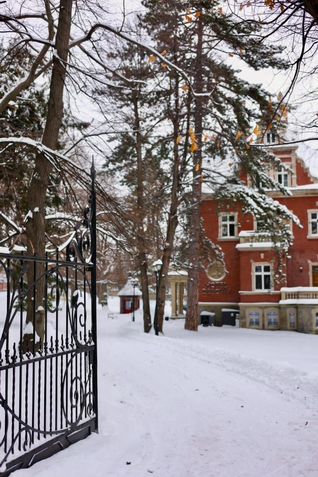 Hotel Debowy Biowellness & Spa Gory Sowie Bielawa  Buitenkant foto