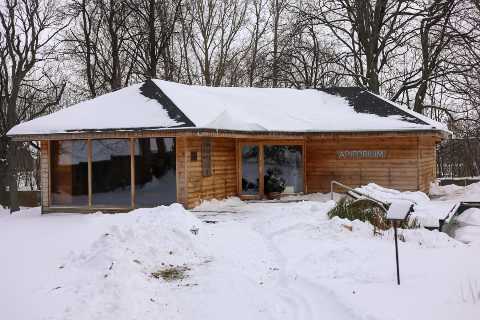 Hotel Debowy Biowellness & Spa Gory Sowie Bielawa  Buitenkant foto